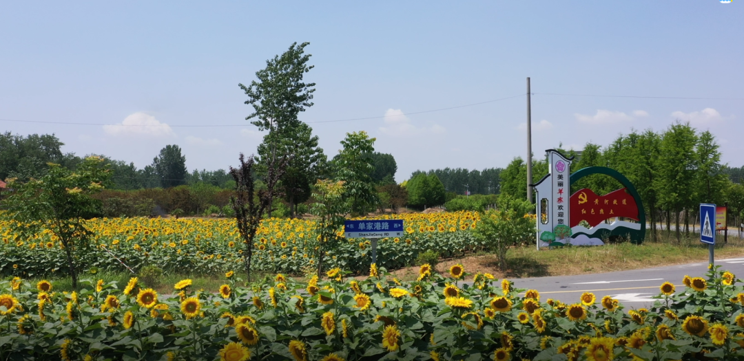 阜宁羊寨,施宁琳阜宁(第4页)_大山谷图库