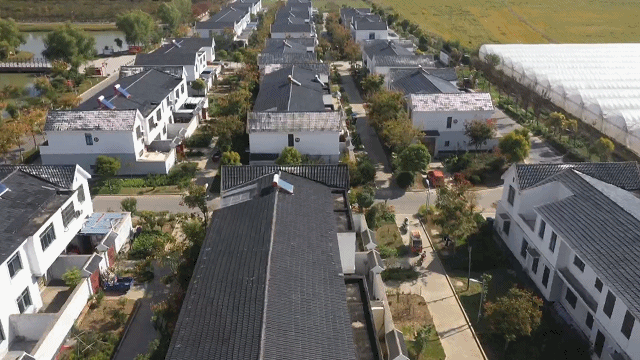 阜宁东沟镇东方村:打造林中方南 推动绿色发展