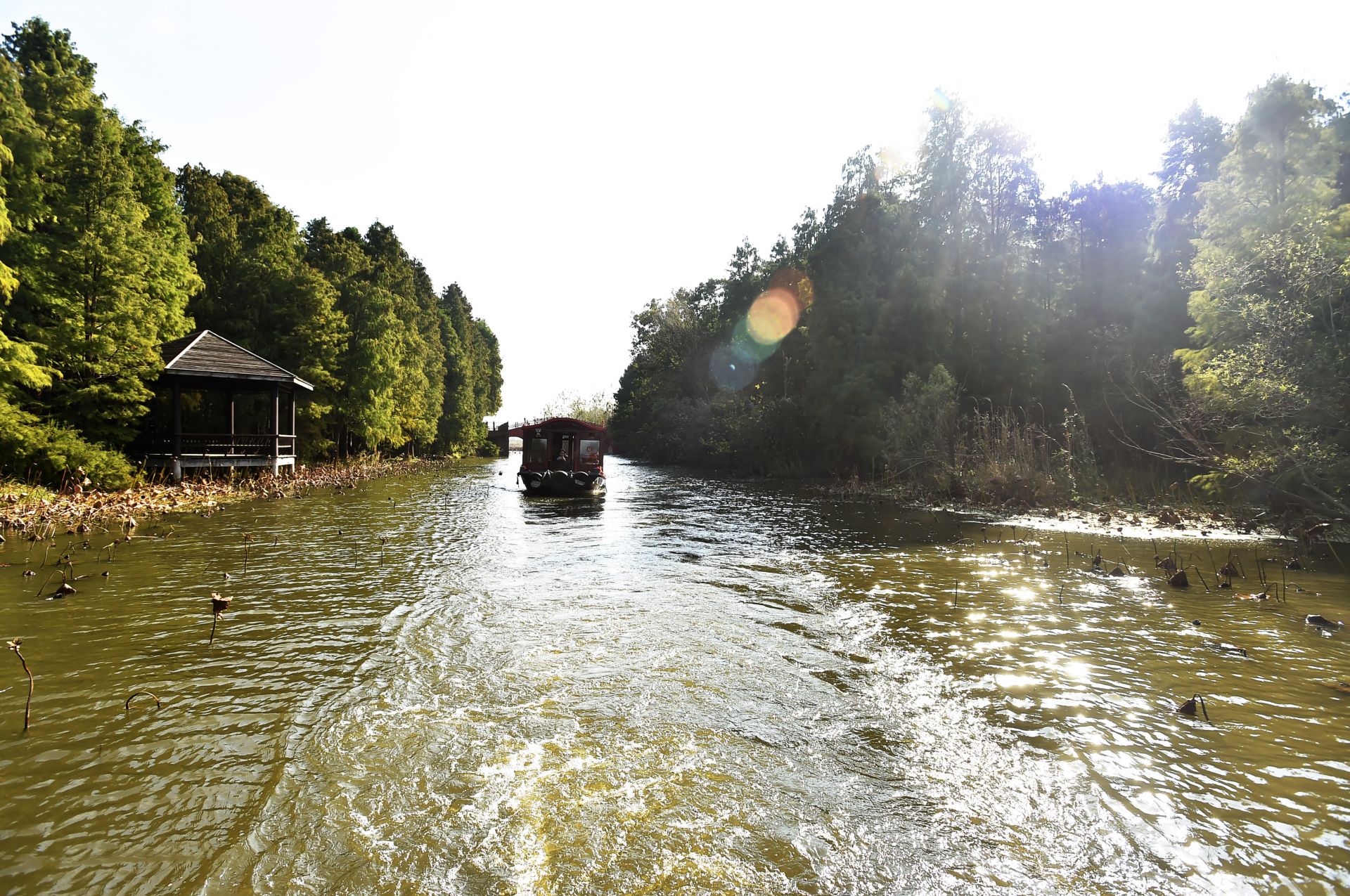 清水潭湿地公园图片